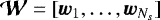 $\bm{\mathcal{W}}=[\bm{w}_1,\ldots,\bm{w}_{N_s}]$