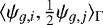 $\langle \psi_{g,i}, \frac{1}{2}\psi_{g,j}\rangle_{\Gamma}$