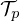 $ {\cal {{T}}}_p $