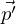 $ \vec {p^\prime } $