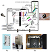 Thumbnail: Fig. 3. Refer to the following caption and surrounding text.