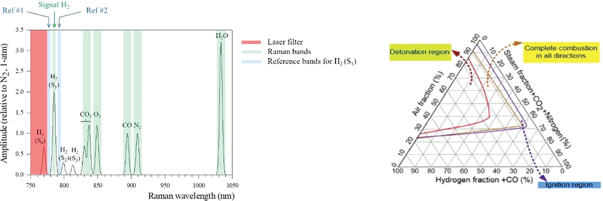 Fig. 4. Refer to the following caption and surrounding text.