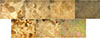 Thumbnail: Fig. 5. Refer to the following caption and surrounding text.