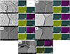 Thumbnail: Fig. 7. Refer to the following caption and surrounding text.