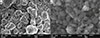 Thumbnail: Fig. 8. Refer to the following caption and surrounding text.