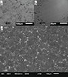 Thumbnail: Fig. 9. Refer to the following caption and surrounding text.
